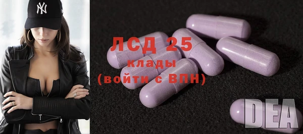 крисы Абаза
