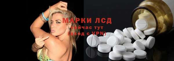 крисы Абаза