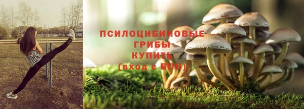 гидра Абдулино