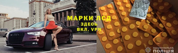 крисы Абаза