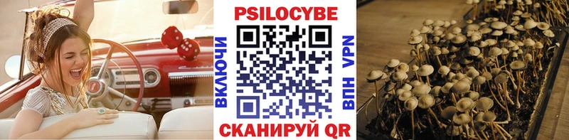 купить наркотик  Моршанск  Псилоцибиновые грибы ЛСД 